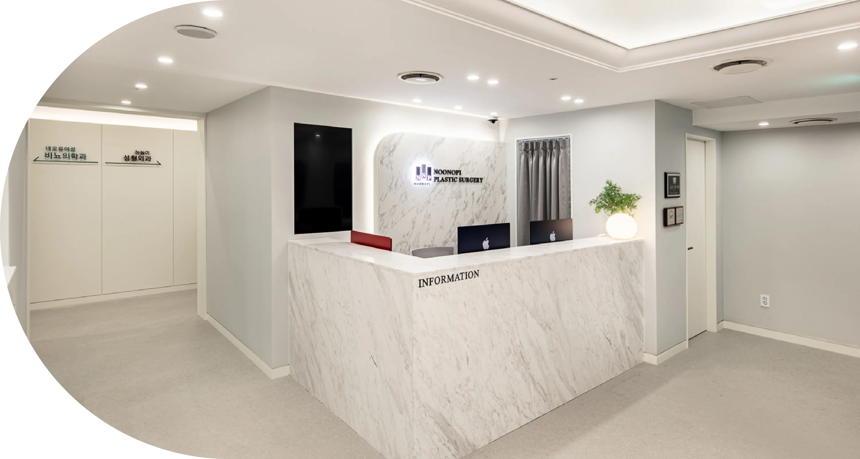 Seoul plastic surgery for facial wrinkles - non-invasive and surgical options for youthful appearance